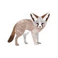 Vector flat style illustration of desert Fennec fox. Isolated on white background.