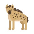 Vector flat style illustration of hyena.