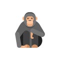 Vector flat style illustration of monkey. Royalty Free Stock Photo