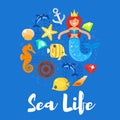 Vector flat style illustration of sea life. Royalty Free Stock Photo