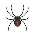 Vector flat style illustration of spider. Royalty Free Stock Photo