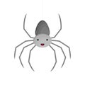 Vector flat style illustration of spider