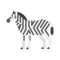 Vector flat style illustration of zebra.