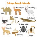 Vector flat style set of desert wild animals.