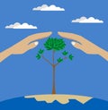 Vector flat style of two hands protecting tree Royalty Free Stock Photo