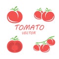 Vector flat tomato icons set