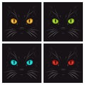 Vector Flat Yellow, Green, Blue, Red Cats Eye of a Black Cat in the Dark, at Night. Cat Face with Yes, Nose, Whiskers on Royalty Free Stock Photo