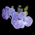 Vector floral art. Pansy flowers, violets - buds and leaves. Collage of flowers and leaves. Use printed materials, signs, objects