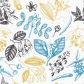 Vector floral background. Hand drawn Perfumery and cosmetics ingredients illustration. Aromatic and medicinal plant seamless patte
