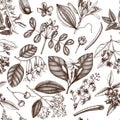 Vector floral background. Hand drawn Perfumery and cosmetics ingredients illustration. Aromatic and medicinal plant seamless patte