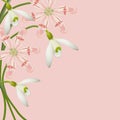 Vector floral background. Spring flowers. Royalty Free Stock Photo