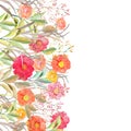 Vector floral border. Isolated roses and wild flowers drawn wate Royalty Free Stock Photo