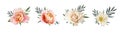 Vector floral bouquet design: garden pink peach, creamy, pale or Royalty Free Stock Photo