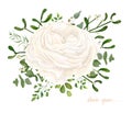 Vector floral bouquet design: garden white creamy Ranunculus Rose flower Eucalyptus branch, green fern mistletoe leaves & berry. Royalty Free Stock Photo