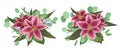 Vector floral bouquet design: set of tender pink, burgundy lily