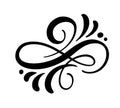 Vector floral calligraphy element flourish, divider for page decoration border and frame design illustration swirl. Decorative