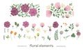 Vector floral clip art set with seamless border brushes. Royalty Free Stock Photo