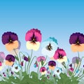 Vector floral colored pansy flowers and blue sky illustration Royalty Free Stock Photo