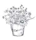 Vector floral composition with black and white hand drawn herbs and wildflowers Royalty Free Stock Photo