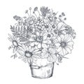 Vector floral composition with black and white hand drawn herbs and wildflowers Royalty Free Stock Photo