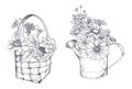 Vector floral compositions with black and white hand drawn herbs and wildflowers Royalty Free Stock Photo