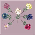 Vector floral design bouquet. Garden roses. Cards. Invitations. Isolated objects.