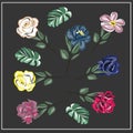 Vector floral design bouquet. Garden roses. Cards. Invitations. Isolated objects.