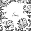 Vector floral frame with peonies. Detailed graphic flowers for your design small boxes, business cards, backgrounds and