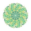 Vector floral green mandala