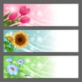 Vector floral illustration background. Horizontal Royalty Free Stock Photo