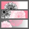 Vector floral illustration background. Horizontal