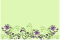 Vector floral rectangular postcard. Bottom Outline hand-drawn small purple-pink flowers collected in a bouquet isolated on a light