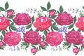 Vector floral seamless border. Summer flowers, green leaves. Pink peonies, blue sage. Royalty Free Stock Photo