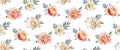 Vector floral seamless pattern, backgorund design: garden pink p Royalty Free Stock Photo