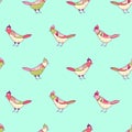 Vector floral seamless pattern. Beautiful color birds in folk style.