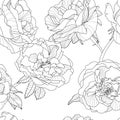 Vector floral seamless pattern. Black and white background with outline hand drawn rose flowers. Royalty Free Stock Photo