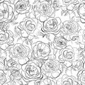 Vector floral seamless pattern. Black and white background with outline hand drawn rose flowers Royalty Free Stock Photo