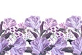 Vector floral seamless pattern, border. Horizontal panoramic design with purple and lilac flowers. Royalty Free Stock Photo