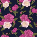 Vector floral seamless pattern with bouquets of hand drawn pink and white peonies on the dark blue background Royalty Free Stock Photo