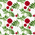 Vector floral seamless pattern of burgundy peonies with leaves on a light background