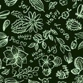 Vector floral seamless pattern with butterfly and dragonfly in d Royalty Free Stock Photo