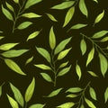 Vector floral seamless pattern with green branches and leaves on dark background. Royalty Free Stock Photo