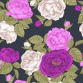 Vector floral seamless pattern with hand drawn white and violet roses