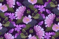 Vector floral seamless pattern. Illustration with violet, purple garden flowers