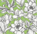 Vector floral seamless pattern of magnolia flowers and branches.