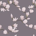 Vector floral seamless pattern of magnolia set. Floral pink images on a violet background. Textile design elements. Royalty Free Stock Photo