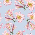 Vector floral seamless pattern with pink lilies flowers.