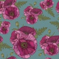 Vector floral seamless pattern with pink poppies Royalty Free Stock Photo