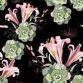 Vector floral seamless pattern with summer herbs, succulent and pink royal lilies. Royalty Free Stock Photo