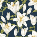 Vector floral seamless pattern with white lilies. Royalty Free Stock Photo